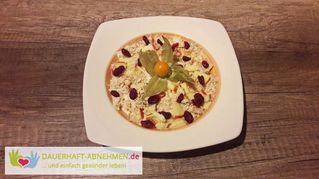 Apfel-Kokos-Cranberry-Porridge